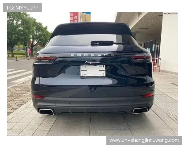 保时捷PG官网入口安全登录指南及常见问题解决方案 保时捷PG官网入口安全登录指南及常见问题解决方案