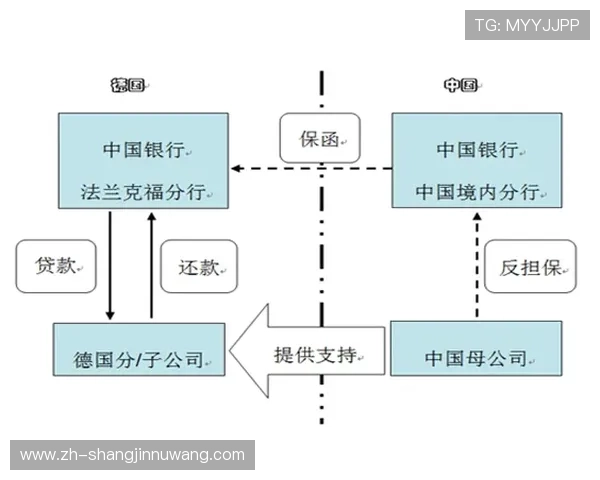 深入解析PGP会员购买渠道多样化策略与使用指南